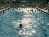 David Isom Desegregated Swimming Pools 1958 David Isom