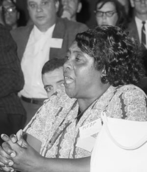 Fannie Lou Hamer – The Woman They Beat in Jail and Ignored on TV Fannie Lou Hamer