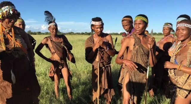 The San Bushmen – The Tribesmen and Their 25-Year Land Fight San Bushmen