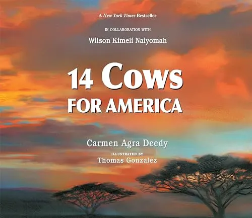 Maasai 14 Cows