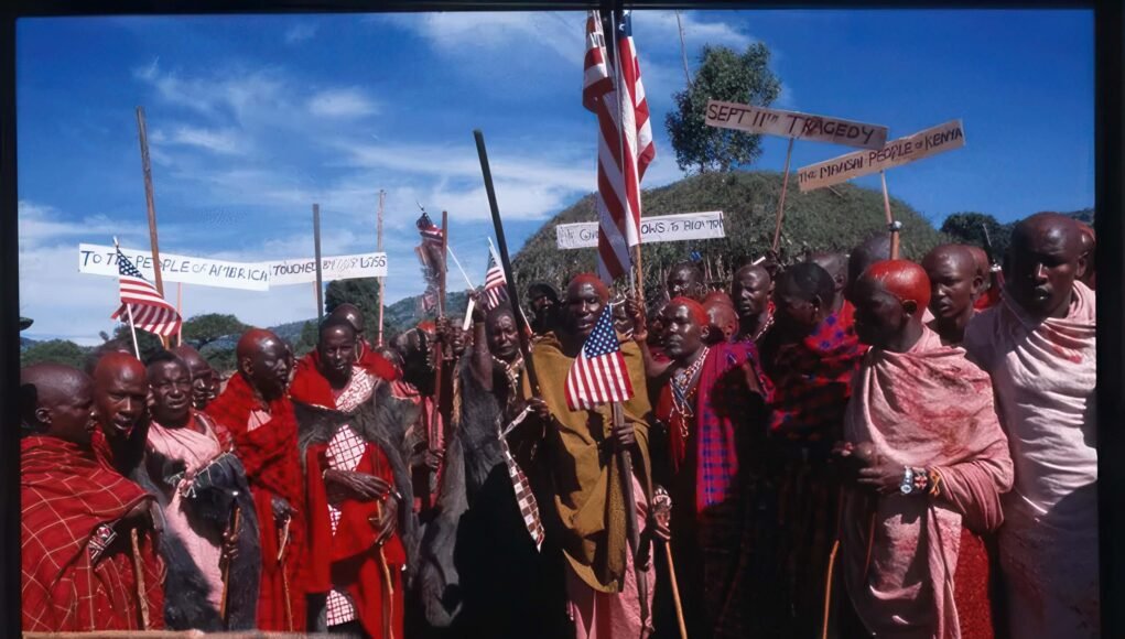 Maasai 14 Cows